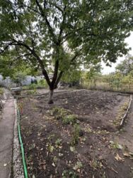 ������ ���� �.� ������� ���� 7