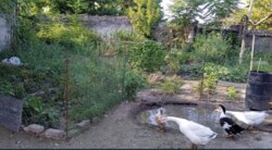 ��� ���� � ������ ������ ���� 4