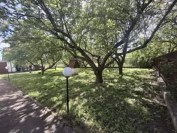 ������ ������� ��� ���� 4