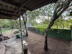 ������ ���� � �� ������� (���������). ���� 19