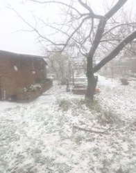 Продается дом на Чапаева , Сертификат фото 11 Продается дом на Чапаева , Сертификат фото 11