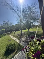 ������ ���� �.� ���������� ���� 7