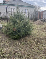 Продается дом в район Бассейна Микомп Сертификат фото 4 Продается дом в район Бассейна Микомп Сертификат фото 4