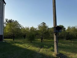 Продается дом Шульговка, Каменское, Каменское, Днепропетровская фото 19 Продается дом Шульговка, Каменское, Каменское, Днепропетровская фото 19