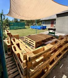 ������ 3� �������, ������� ���� 2