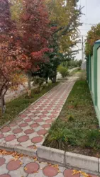 ������ ��� ����� ���� �� ������� ���� 6