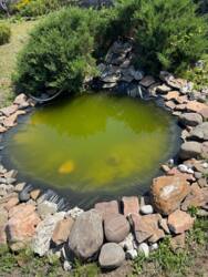 �������� ����������� ��� � ������ � ����� ������� �� ������� ���� 16