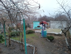 ��������� ��� � ������������ (����� ������� �����) ���� 21