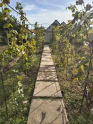 ������ �� � ��������. ���� 8