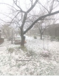 Продается дом на Чапаева , Сертификат фото 10 Продается дом на Чапаева , Сертификат фото 10