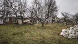 ���� �� ����� ���� 6