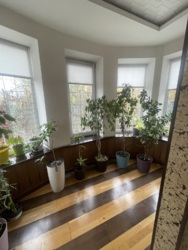 ������� ���� � ����������� �������� ��� ����� � �������. ���� 14