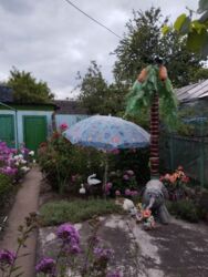 ������ 1/2 ���� ����� 28 �����. ���� 15