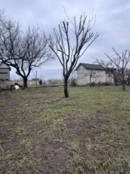 �������� ������ � ��������� �������� ���� 1