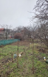 ������ ��� ���� 5