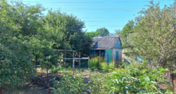 ������ ������� ���� 2