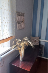 ������ ������� ���� 10