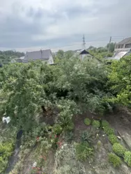 ������ ���/����,������� ����� �/� ��������� ���� 12