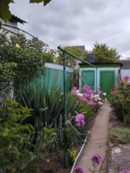 ������ 1/2 ���� ����� 28 �����. ���� 3