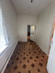 ������ ����� ���� ���� 13