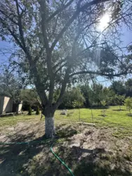 ������ ���� �.� ���������� ���� 11