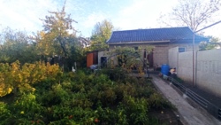 ��� ���� (����� ������� ����������� ���) ���� 10