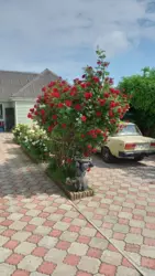 ������ ��� ����� ���� �� ������� ���� 3