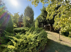 ��� � ��������� ���� 20