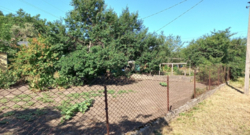 ������ ������� ���� 4