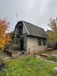 ������ ���� �� ����� ���� 4