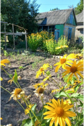 ������ ������� ���� 5