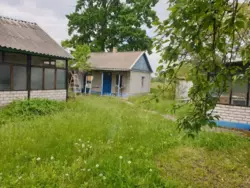 ������ ��� � ����� ���� 5