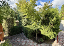 ��� � ��������� ���� 19