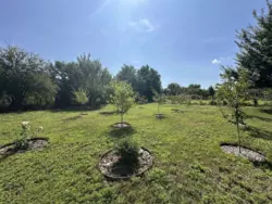 ������ ���� �.� ���������� ���� 20