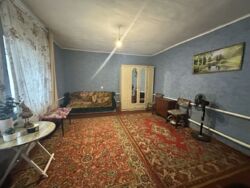 ������ ����� ���� ���� 14