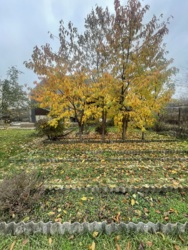 ������� ���� � ����������� �������� ��� ����� � �������. ���� 8