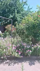 ������� ������� ����. ����� �-²��������� ���� 4