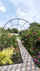 ������ ��������� ������� ���� 20