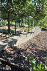 ������ ������� ���� 3