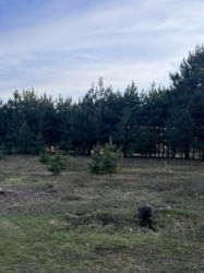 Дача в Кулишах фото 17 Дача в Кулишах фото 17