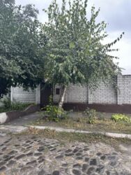 ������ ����� ���� ���� 19