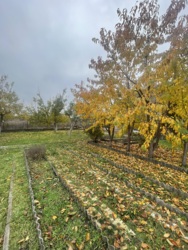 ������� ���� � ����������� �������� ��� ����� � �������. ���� 9