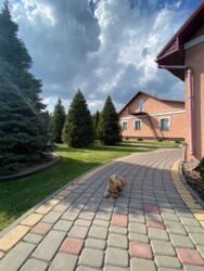 ������ ������� ���'������ ���� 5