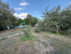 ������ ���� � �� ������� (���������). ���� 18