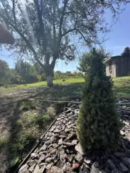 ������ ���� �.� ���������� ���� 10