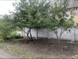 ������ ��� ��� ������� ����� ���� 3