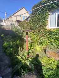 ��������� �������� ������� �� ��������� ��������� �� ���. ���������� ���� 18