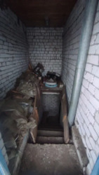 ������ ������� ���. ���� 11