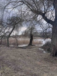 Будинок для великої родини фото 10 Будинок для великої родини фото 10