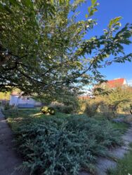 ������ ������� � ��������� ���� 3